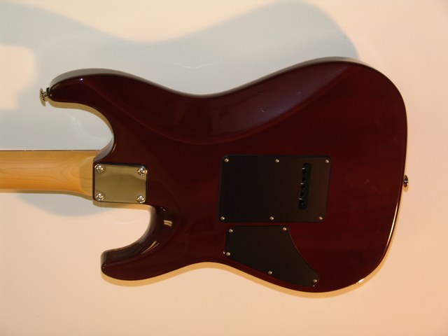 Suhr-Carve-Top-Amber-Flame-9.jpg (640x480 -- 0 bytes)